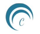 cacoon spark logo